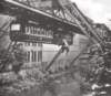 wupertal1950elephant_small.jpg