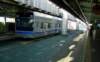 japonchiba4_small.jpg